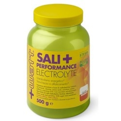 Idratazione +Watt, Sali+ Performance, 500 g.