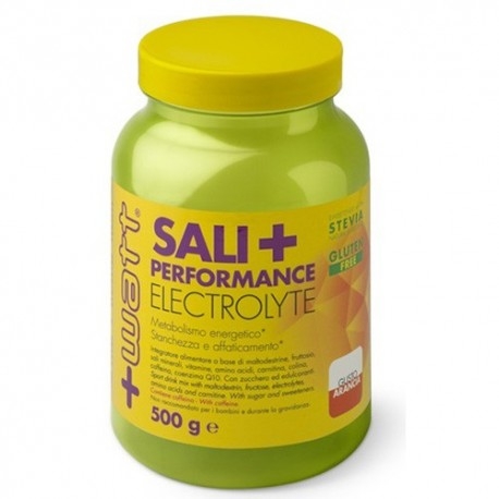 Idratazione +Watt, Sali+ Performance, 500 g.
