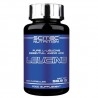 Scitec Nutrition, Leucine, 100&nbsp;cps.