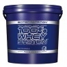 Scitec Nutrition, 100% Whey Protein, 5000&nbsp;g