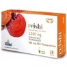 Nature Essential, Reishi, Blister da 30 cps.