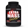 FlorioSport, Extra Mass Gainer, 2000 g (Sc.10/2025)