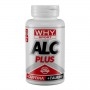 Why Sport, Alc Plus, 60 cpr. (Sc.09/2025)