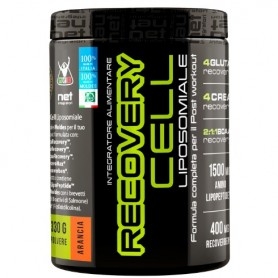 Post Workout Net Integratori, Recovery Cell Liposomiale, 330 g