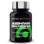 Scitec Nutrition, Ashwagandha, 60 cps
