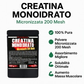 FlorioSport, Creatina Monoidrato Micronizzata 200 mesh, 500 g.